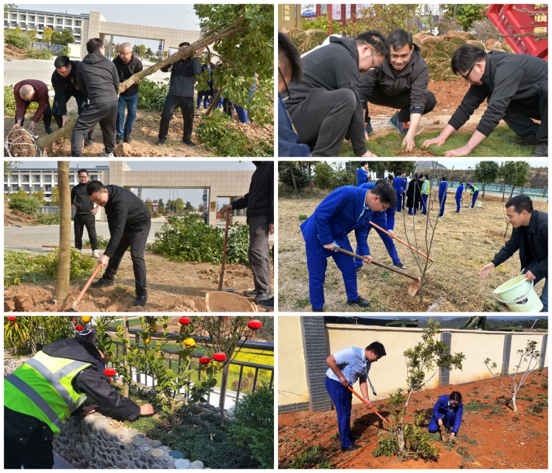 腾博会官网 - 诚信为本,专业服务!