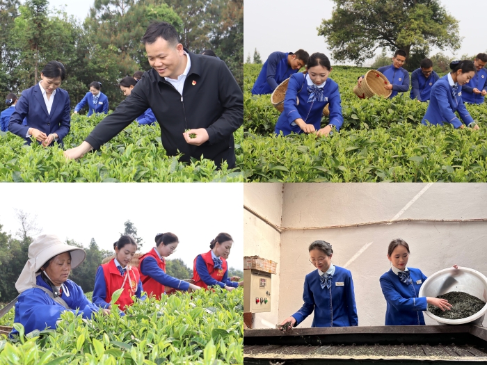 腾博会官网 - 诚信为本,专业服务!