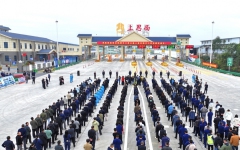 thumb_240_150_1767163667271143